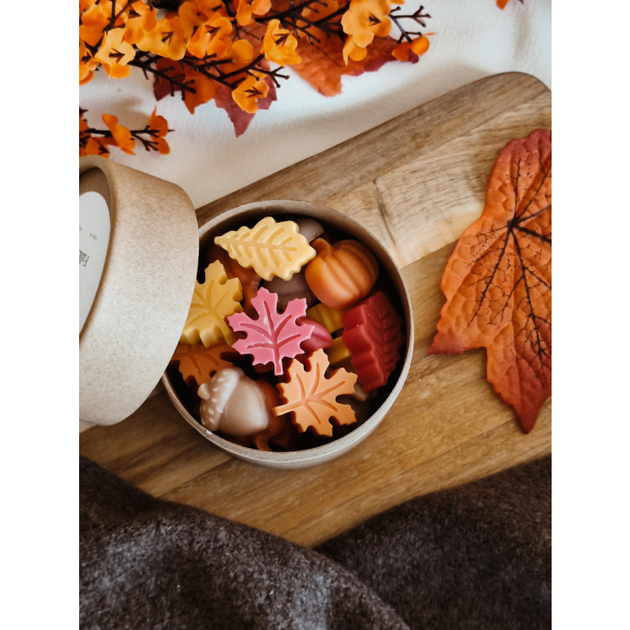 Fallen Leaves Wax Melts