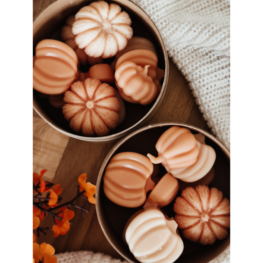 Pumpkin Season Wax Melts
