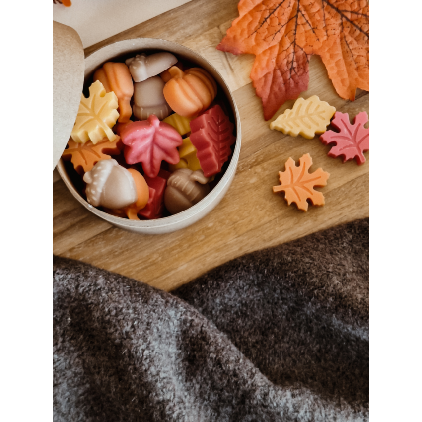 Fallen Leaves Wax Melts
