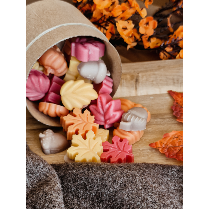 Fallen Leaves Wax Melts