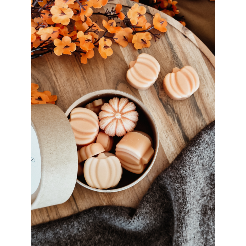 Pumpkin Season Wax Melts