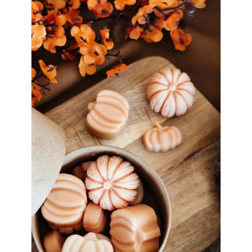 Pumpkin Season Wax Melts