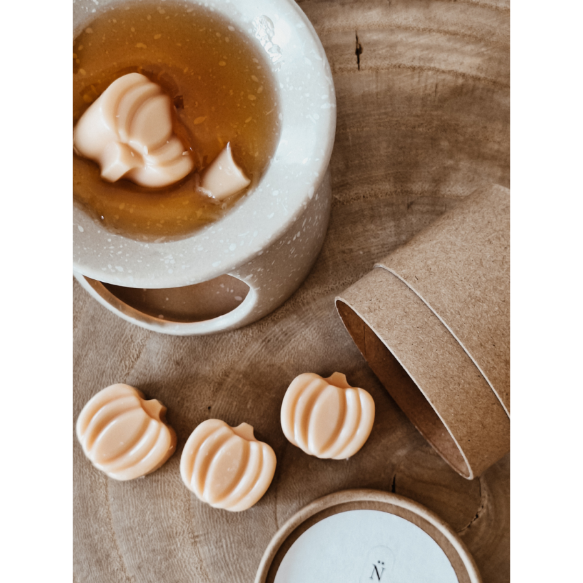 Pumpkin Spices Wax Melts